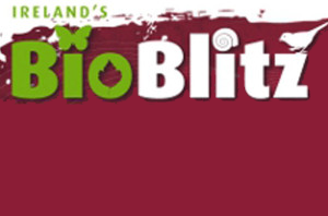 bioblitzlogo