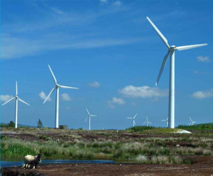 ourstory-bnm-turbines