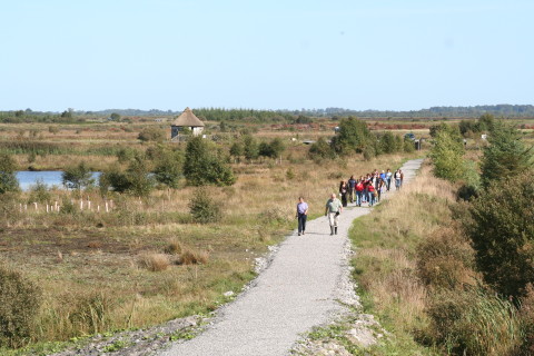 An Offaly Walking Festival 2014 dusk to dark walk at Lough Boora Discovery Park will be held on Friday 10 October 2014.