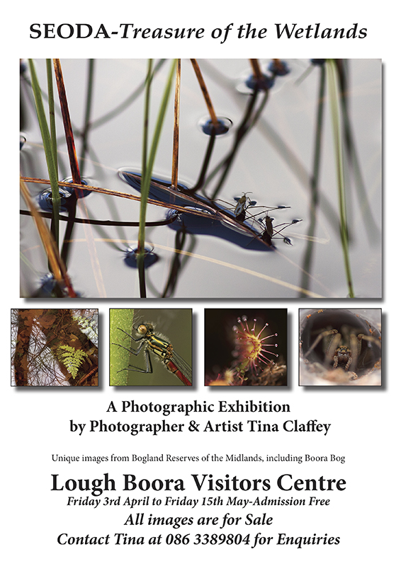 Tina Claffey's photographic exhibition, 'Seoda - Treasure of the Wetlands' is to feature in Lough Boora Discovery Park Visitor Centre from 3rd - 15th of April