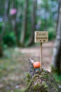 All fairies, and fairy watchers, are welcome to Lough Boora Discovery Park to visit Fairy Avenue