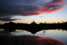 Lough Boora Listed in Europe's Top Ten Sculpture Parks