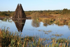 Autumn-at-Lough-Boora