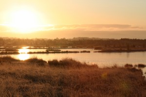 sunrise-over-Tumduff-wetlands 