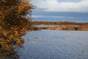 Boora-Lake