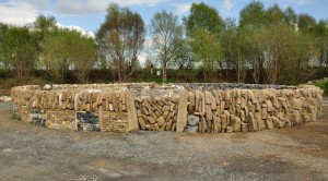 Gathering-of-the-stones