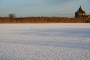 Winter-at-Lough-Boora 