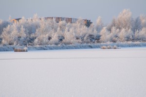 winter-train 